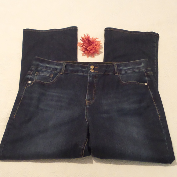 Lane Bryant Denim - Lane Bryant stretchy jeans